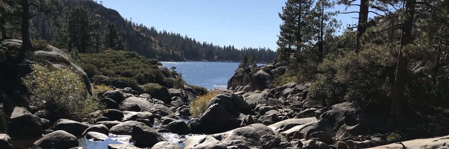 willlgamble's profile banner image