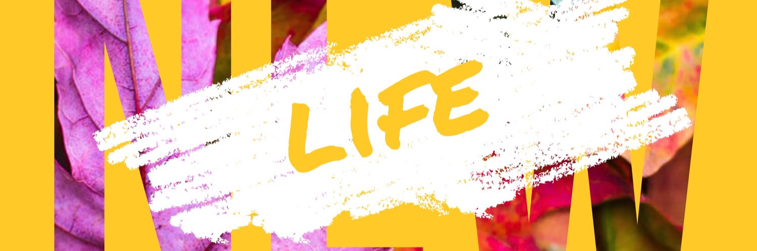 labelscott's profile banner image