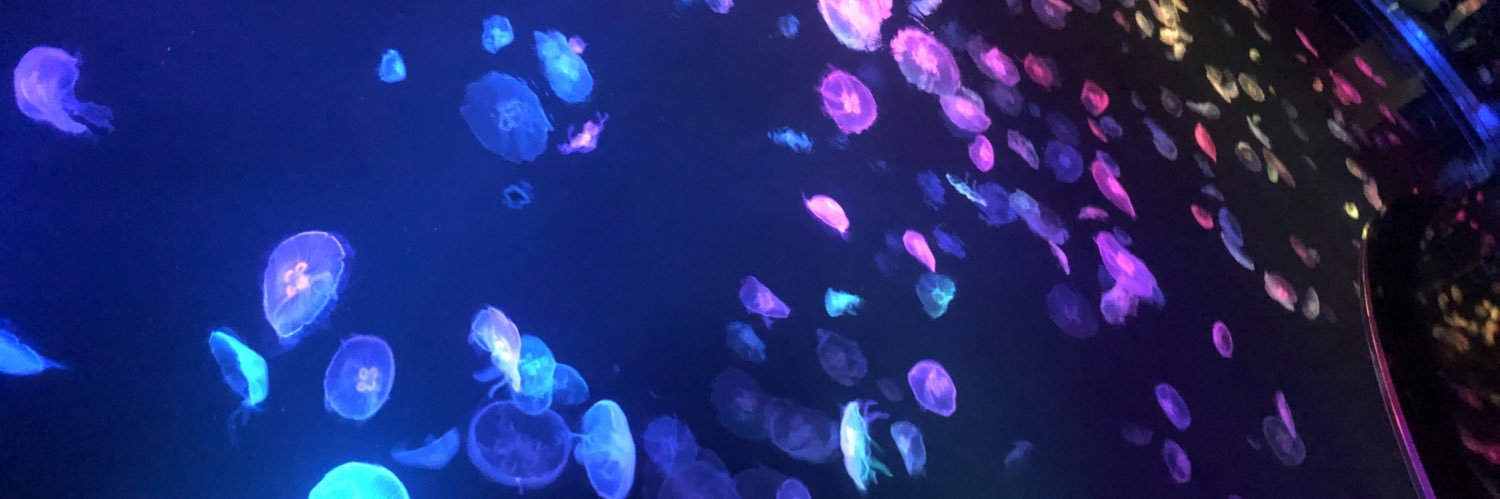 erk____04's profile banner image