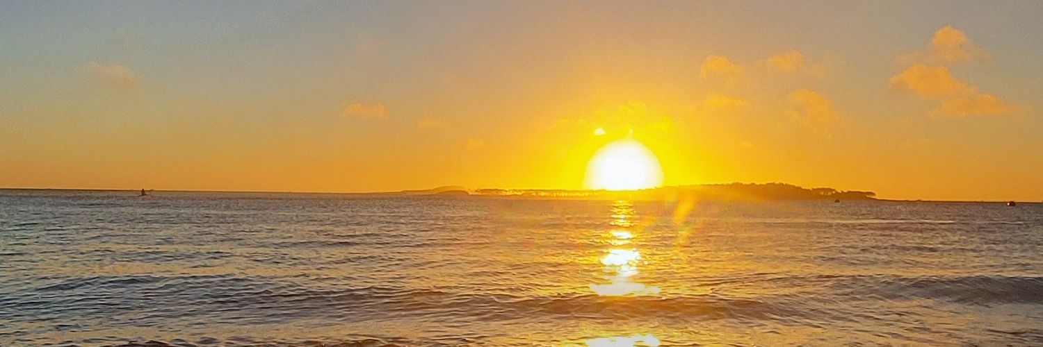 diegolarrosaok's profile banner image