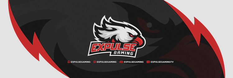 Expulse Gaming banner