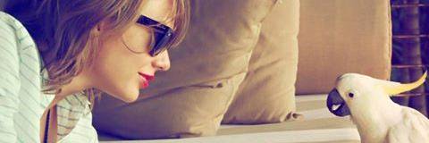 Azulchioswift's profile banner image