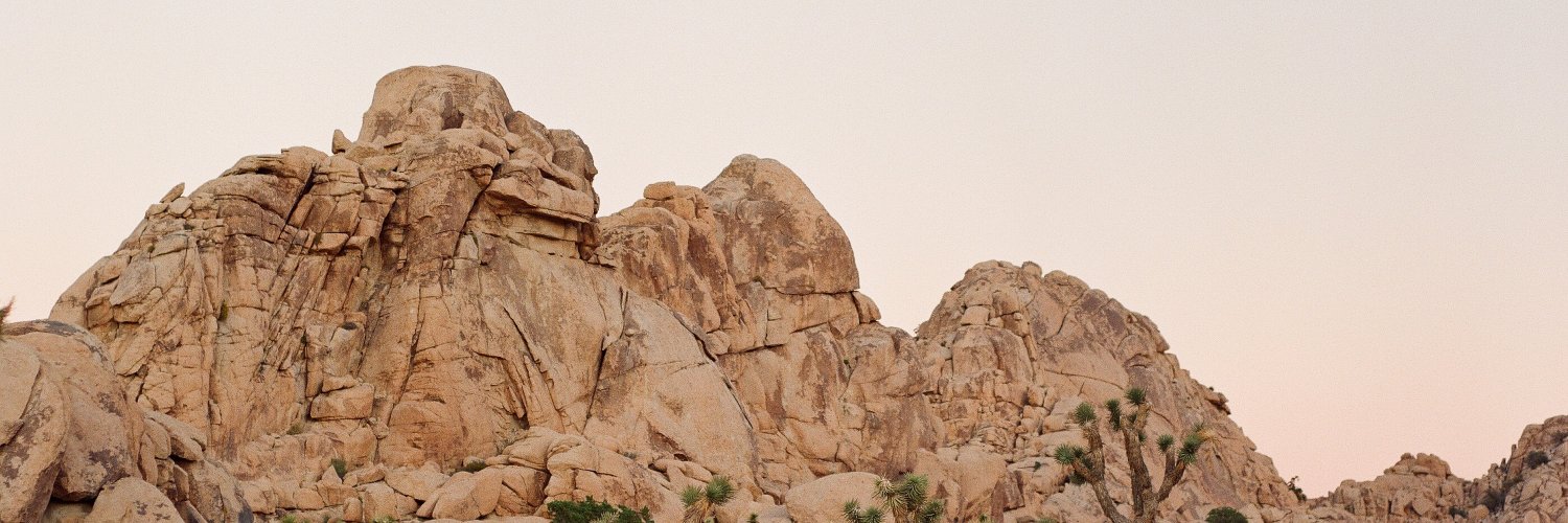 The Ruin Venue banner