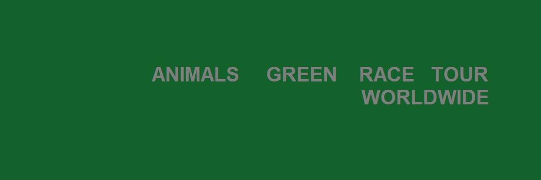AnimalsPaper's profile banner image