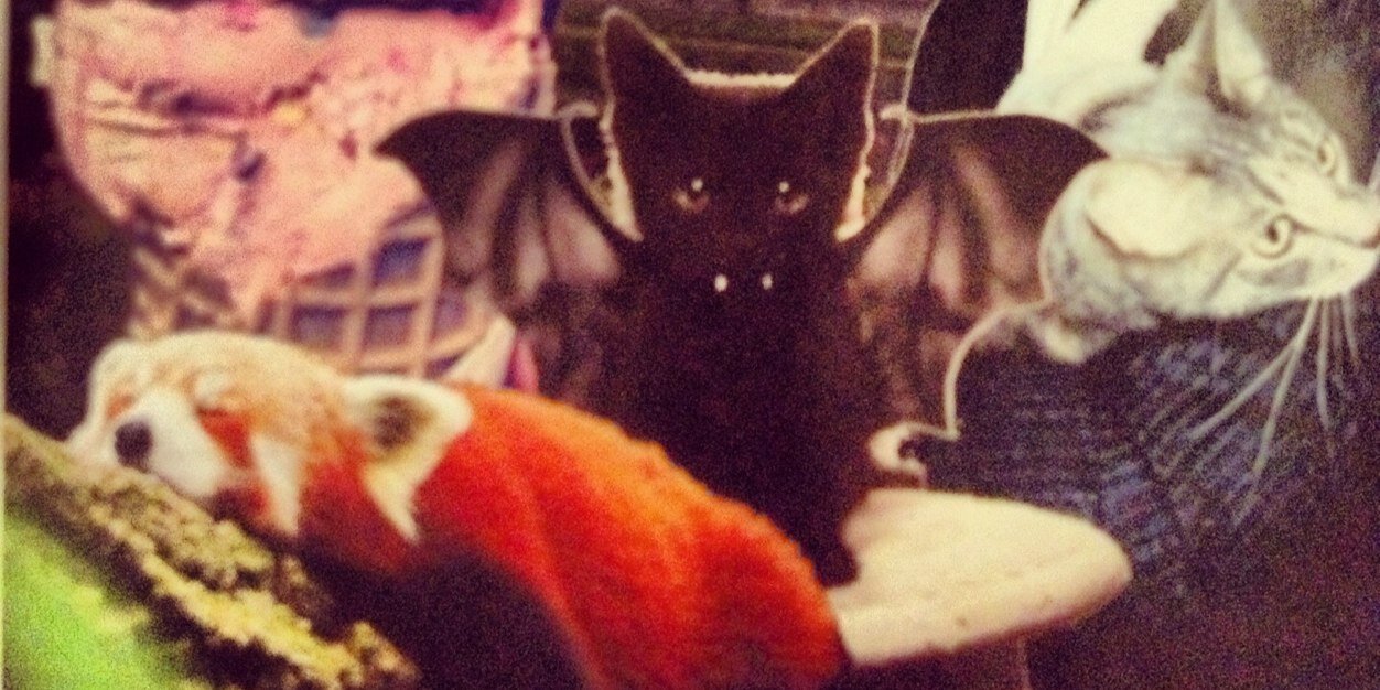 Michelle Katerine banner