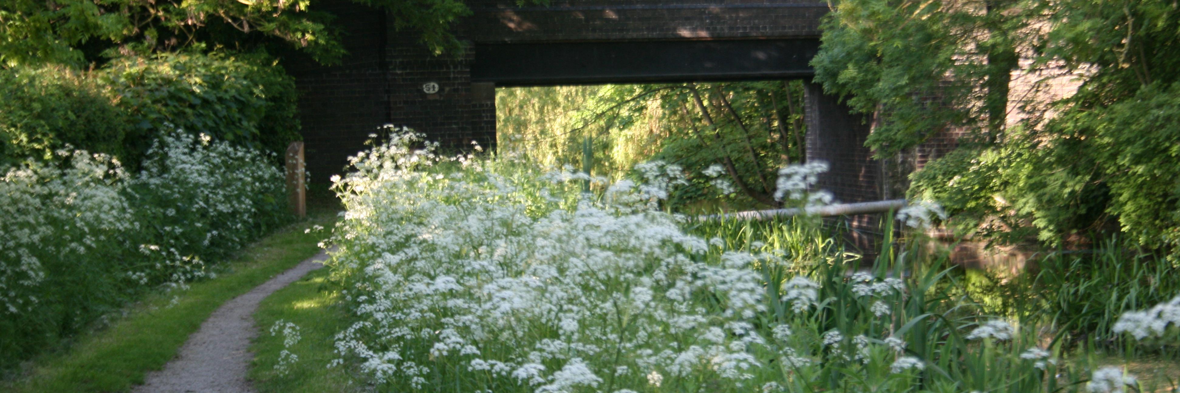 greenmancottage's profile banner image