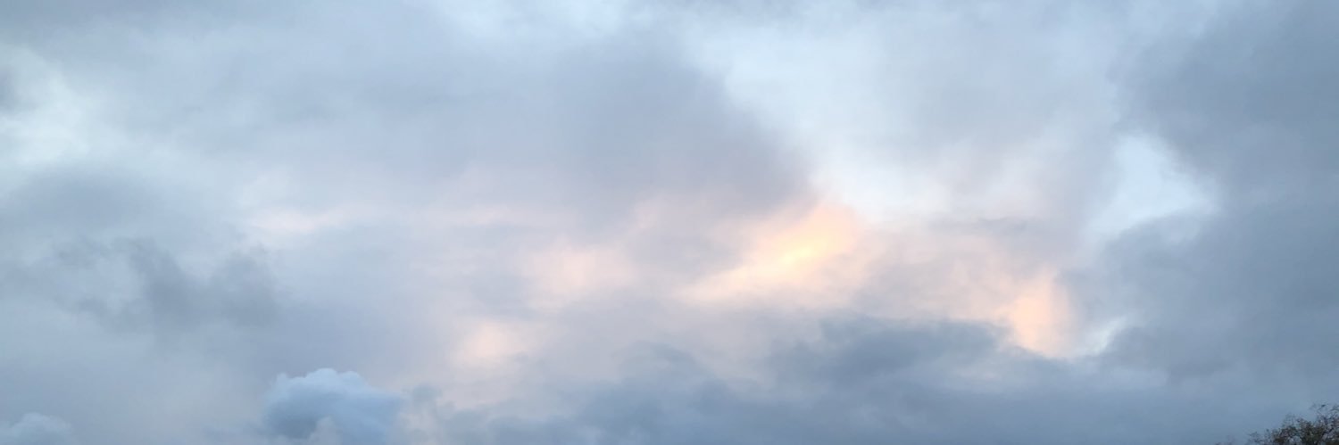 jessbatesonn's profile banner image