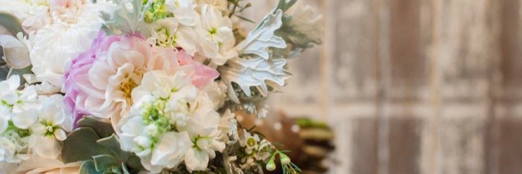 tor1215's profile banner image