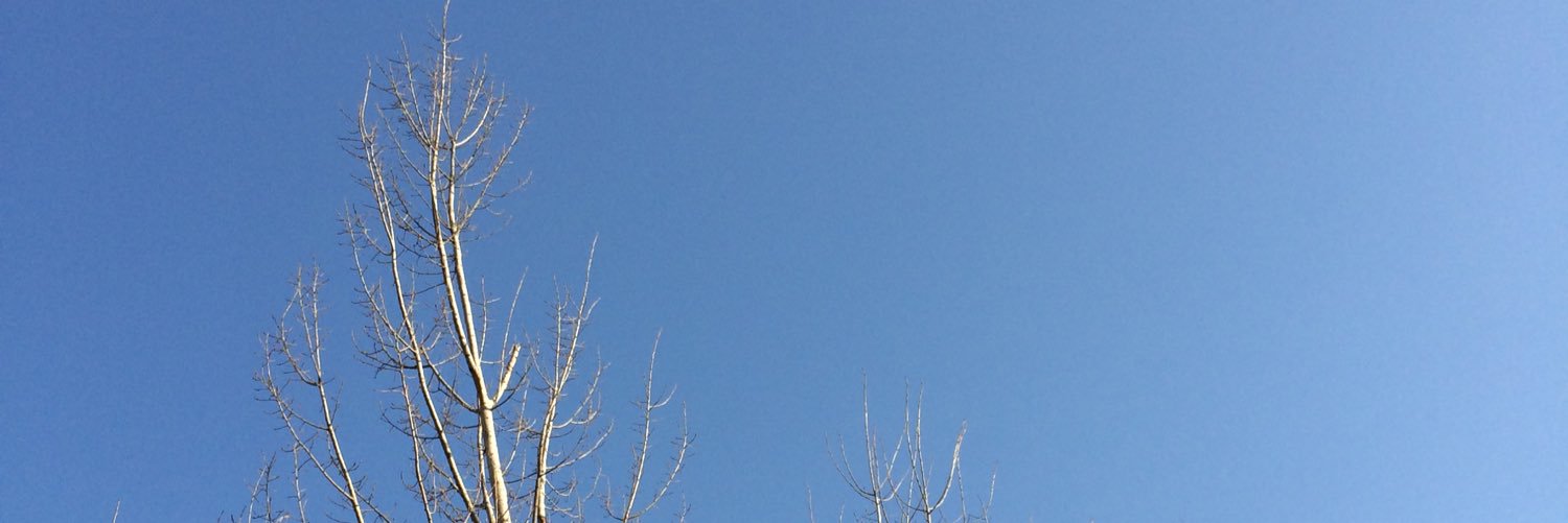 nice_he's profile banner image