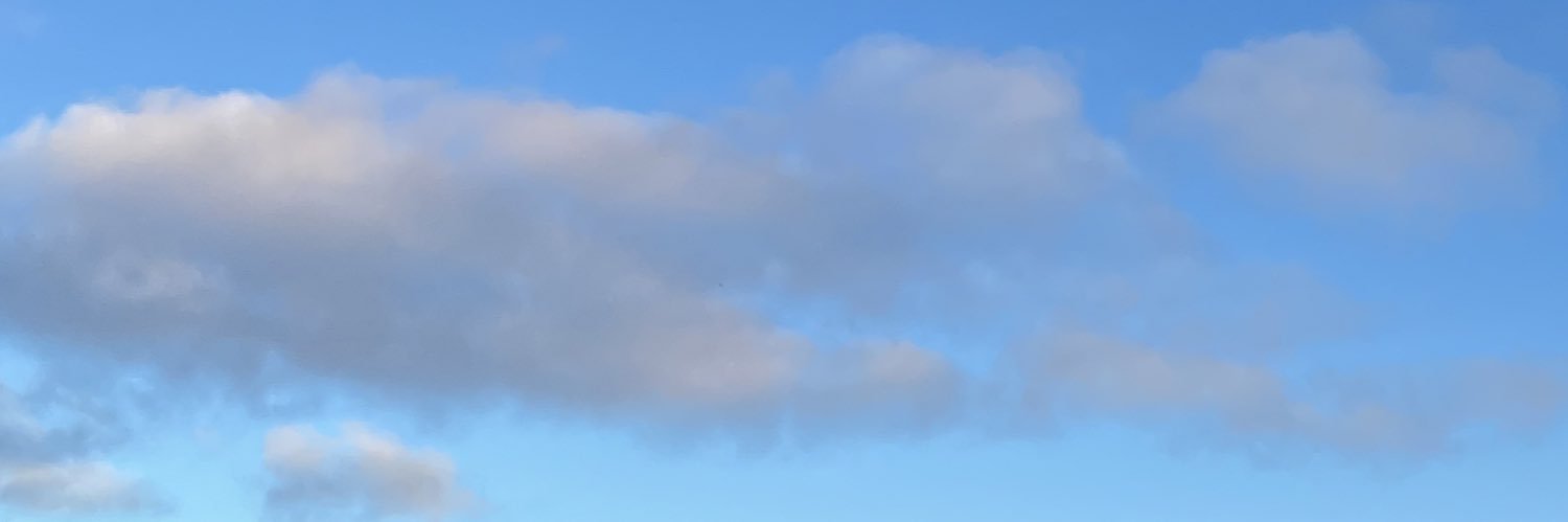 lushhag's profile banner image