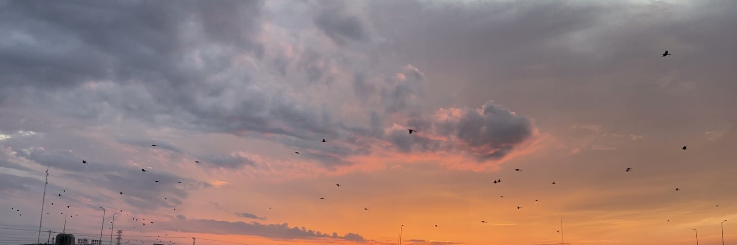_karenzp's profile banner image