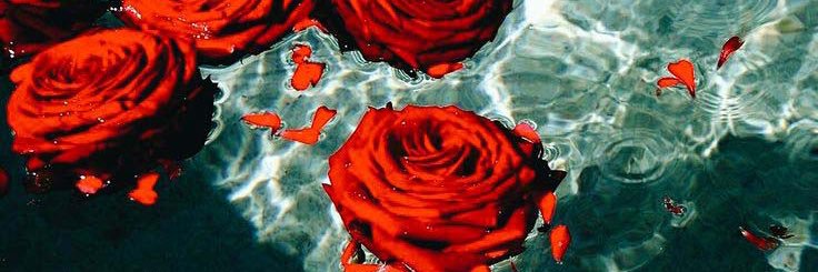 Guwap🌹 banner