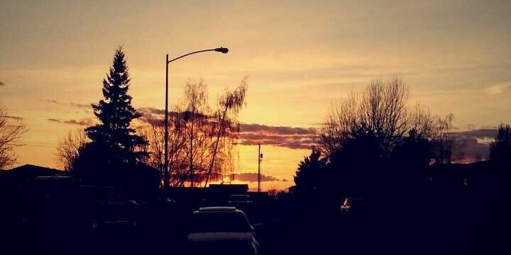 Sauron the talker banner