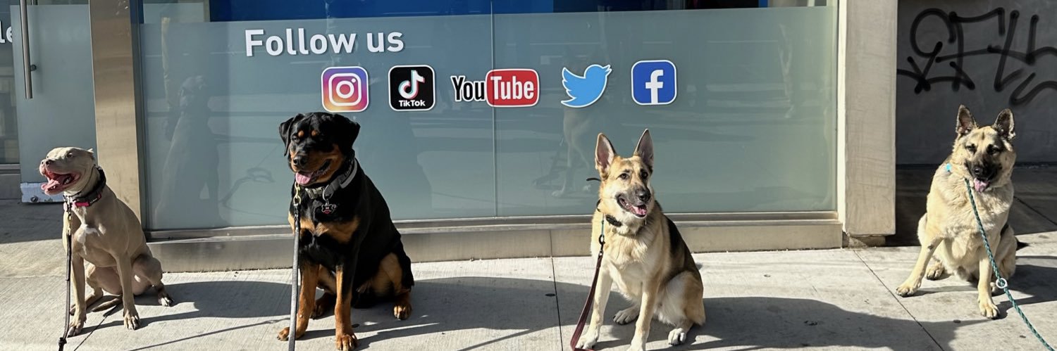 Jas Leverette • Cali K9 banner
