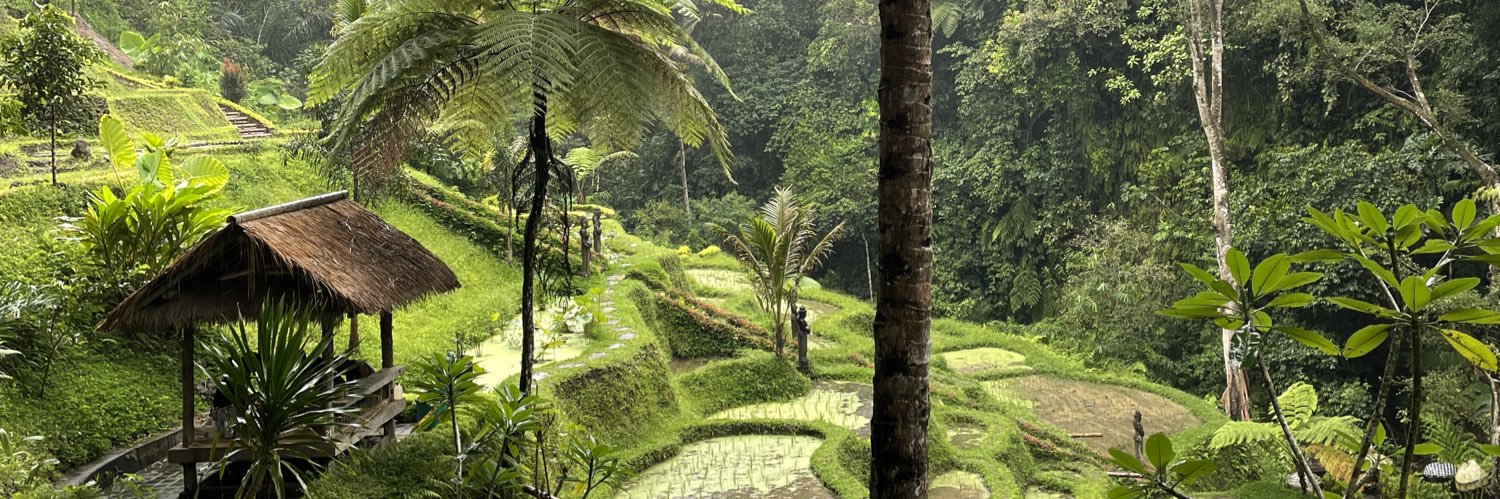 Deny Ardianta banner