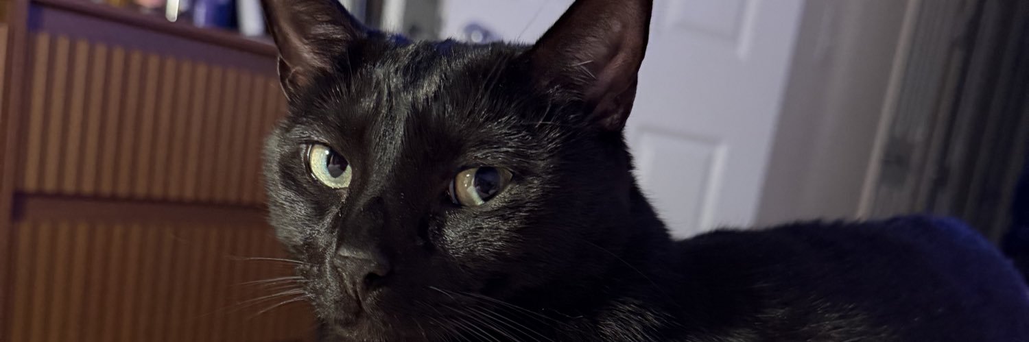 kimmestefi's profile banner image