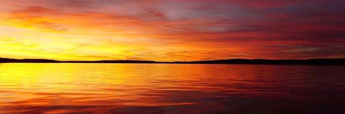 Manda_Coombs's profile banner image