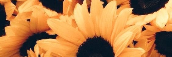 andreabgc's profile banner image