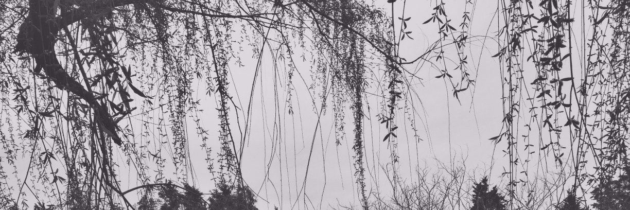 lordwav's profile banner image