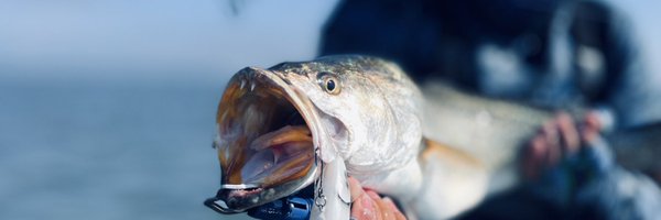 MoisesMorua Profile Banner