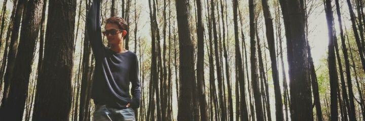 Allieff banner