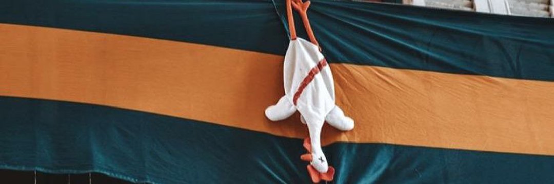 macariogalli's profile banner image