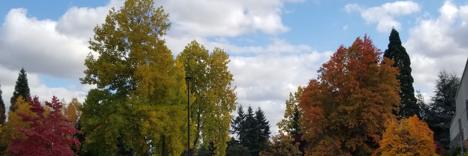 RMSeidler's profile banner image
