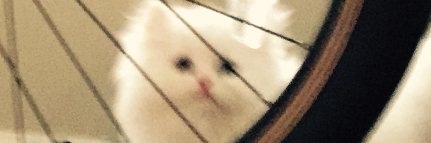 _mrquackers's profile banner image