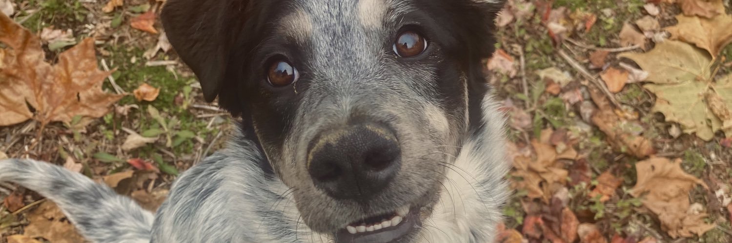 leighamedinaa's profile banner image