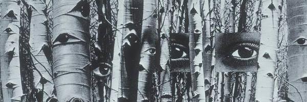 emiliabedelia__ Profile Banner