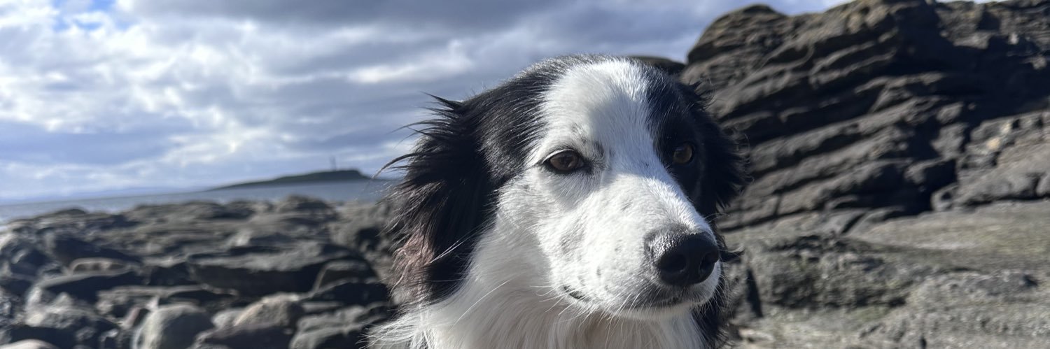 KinlochSusan's profile banner image