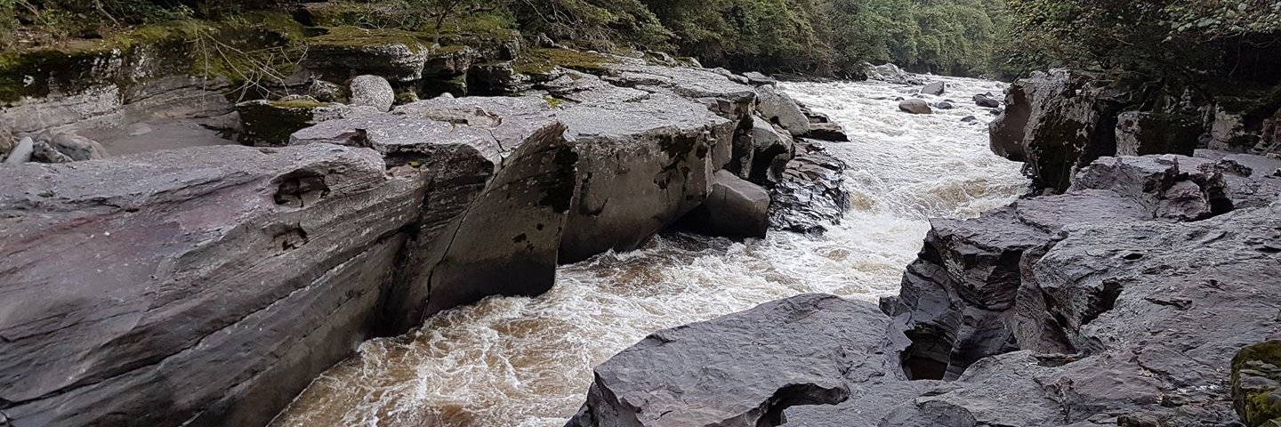 Víctor García banner