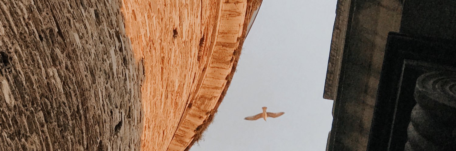 Cemreyarenerr's profile banner image