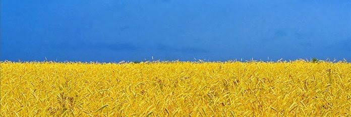 AniPangallo's profile banner image
