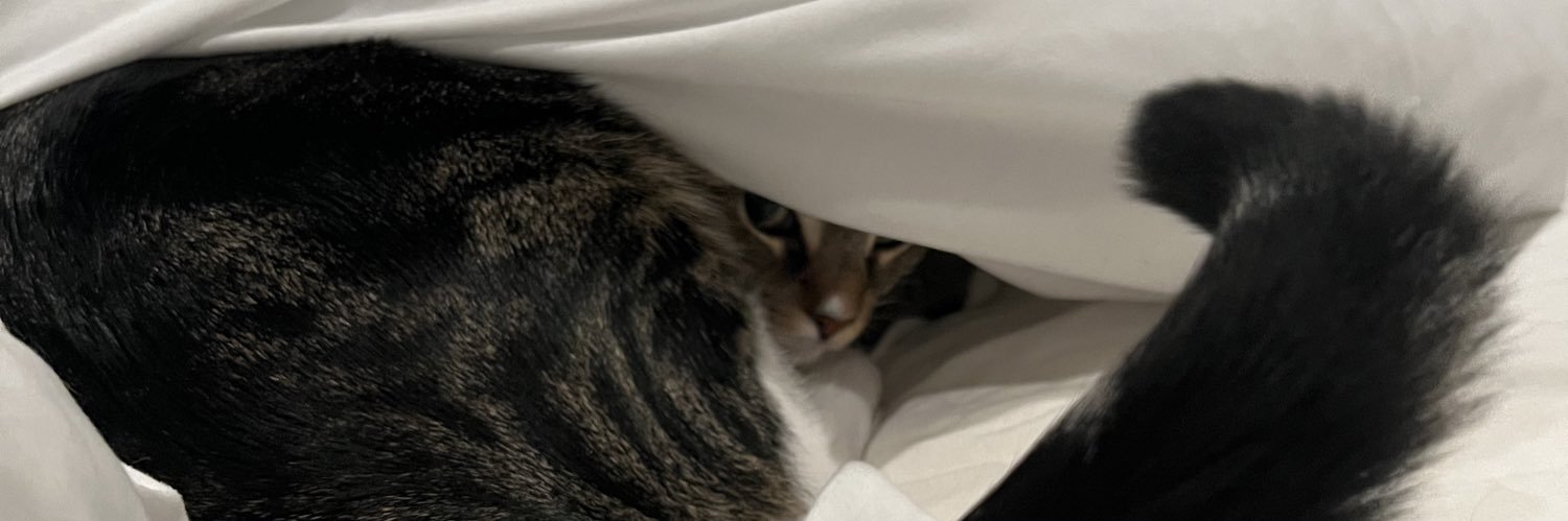 ellie_schlueter's profile banner image