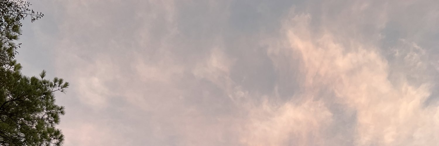 Pabzzzzzzzz's profile banner image
