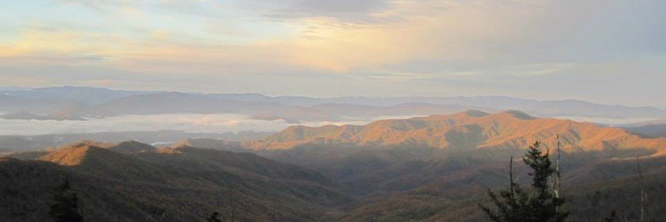 MiniMenace875's profile banner image