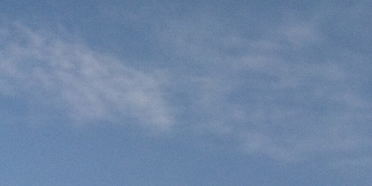 Ricky Ferrell banner