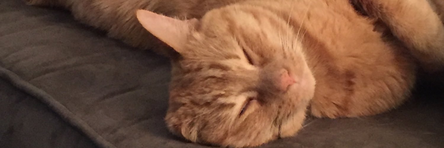 OliverDouglas53's profile banner image