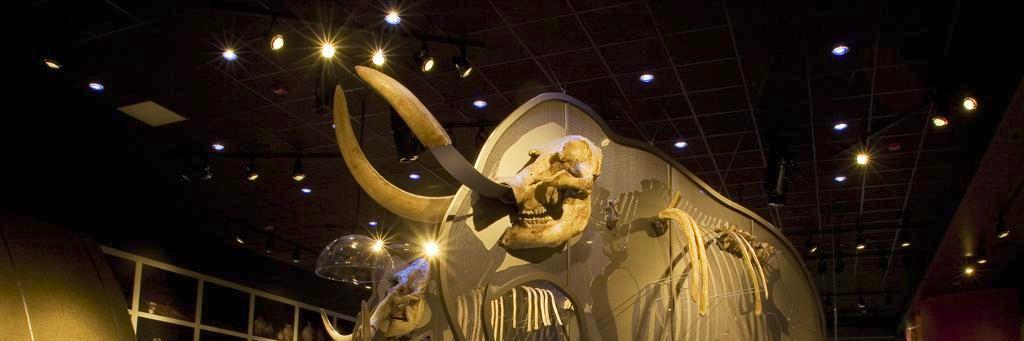 Max Mastodon banner