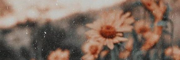 cin_contrera's profile banner image