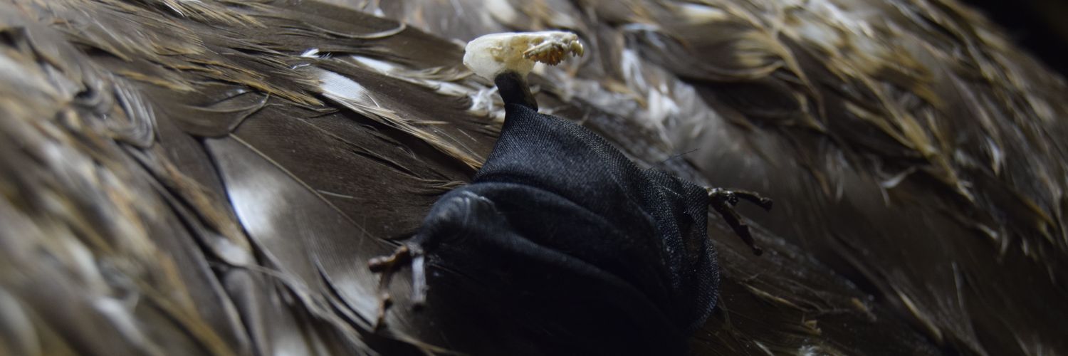 ArranQuigley's profile banner image