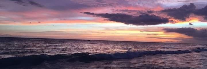 Ramón Tejada Holguín banner