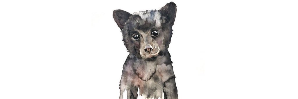 Kameronw3's profile banner image