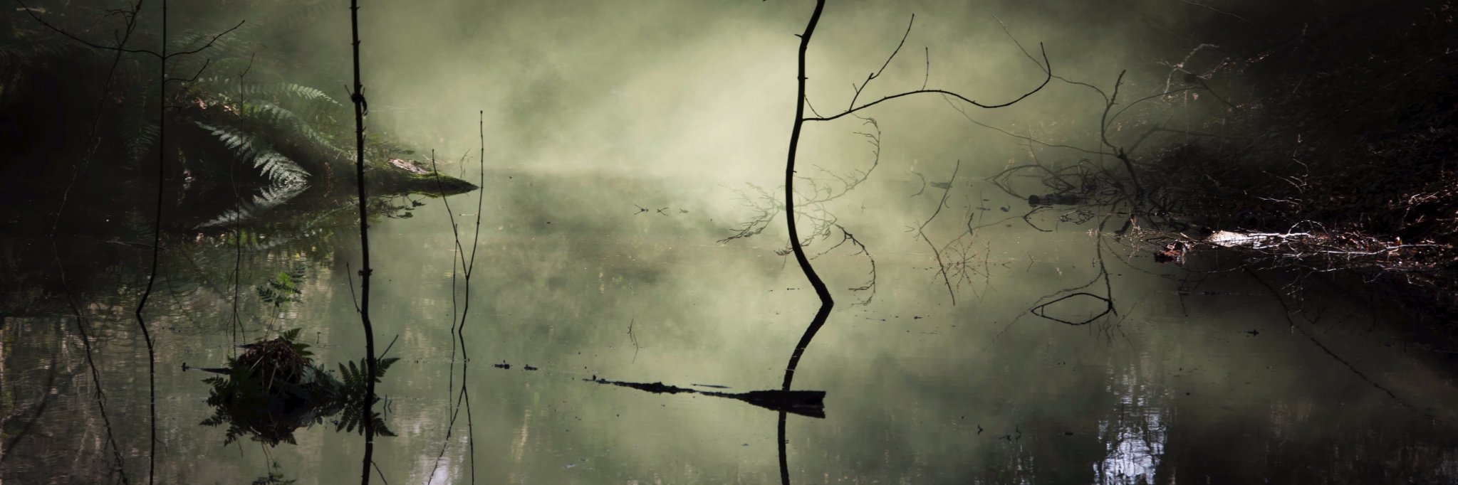 Sandyfx_'s profile banner image