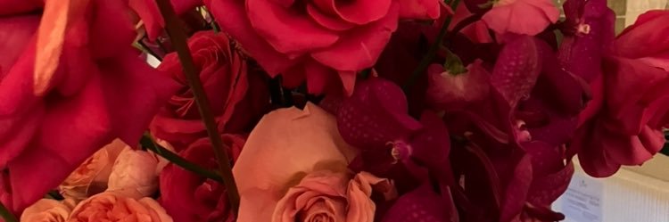 DrMarkusSinger3's profile banner image