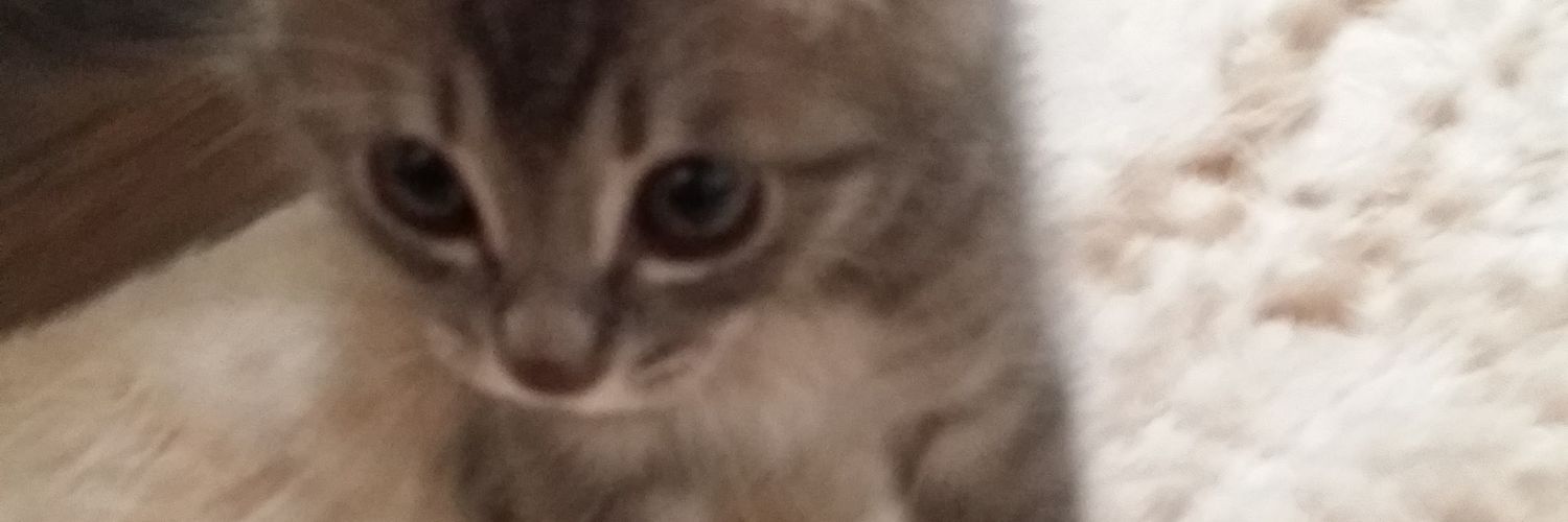 kao3412's profile banner image