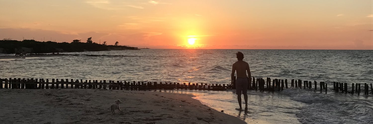 NelizaLopez's profile banner image