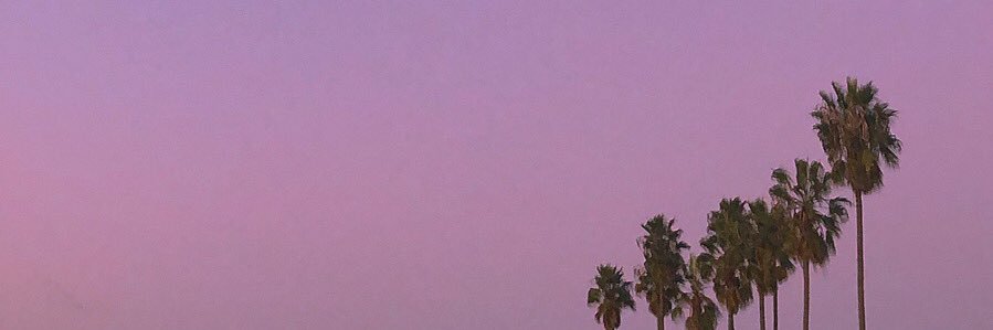 LeannaShen's profile banner image