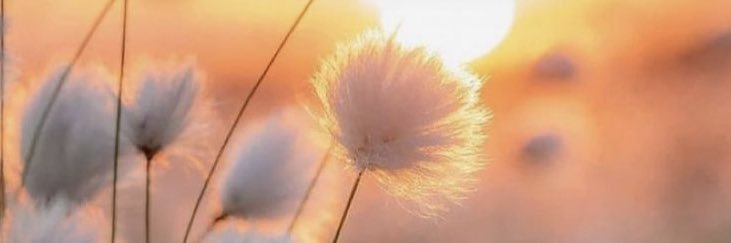 seka9494's profile banner image